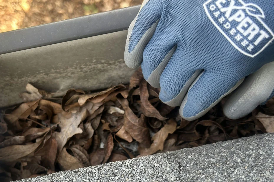 Rossville Gutter Cleaning