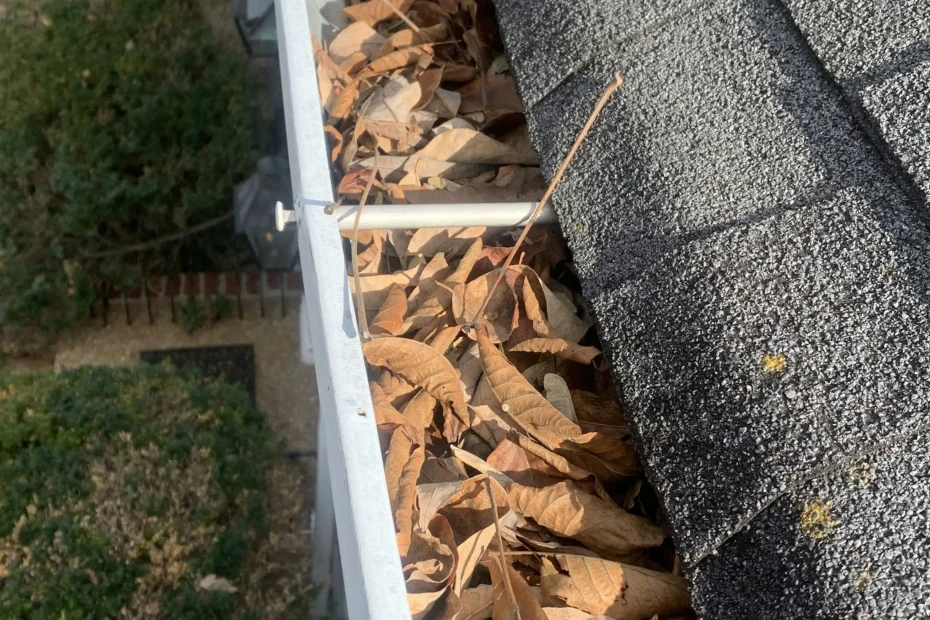 Rossville Gutter Cleaning